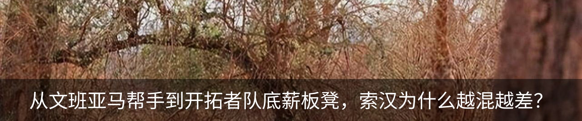 内页banner